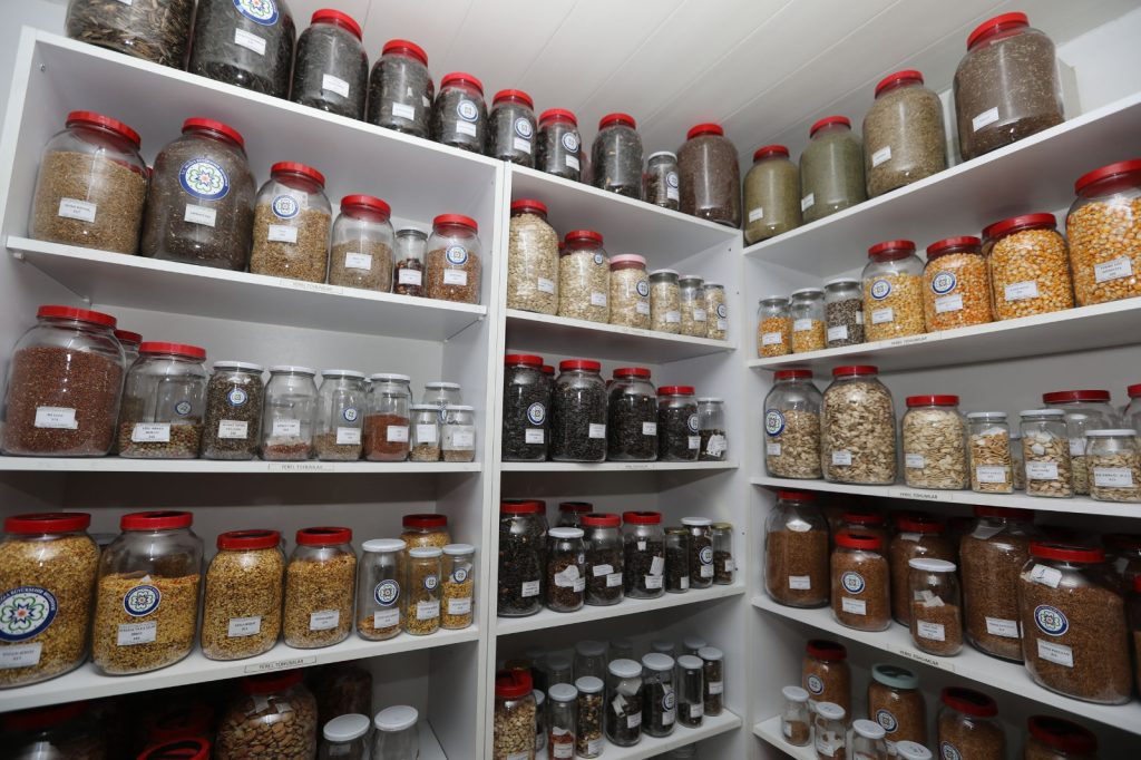 Büyükşehir’in Yerel Tohum Dağıtımı 3 Şubat’ta Başlayacak