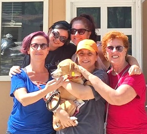 7 ayda 157 patili dost yeni yuvasına kavuştu