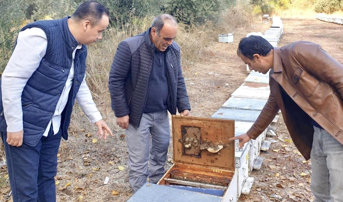 COĞRAFİ İŞARET KRİTERLERİNE UYGUNLUĞU DENETLEDİ