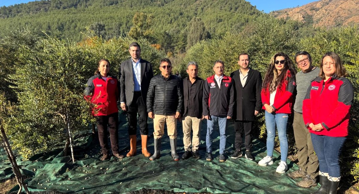 Hasat Öncesi Çiftçilere ‘Pestisit’ Denetimi