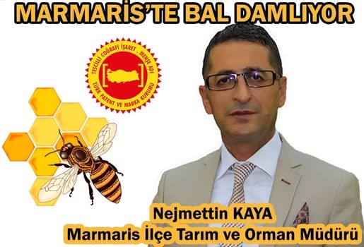 NECMETTİN KAYA’DAN KRİTİK UYARI: ANIZ YAKMAYIN, ORMANLARI KORUYUN