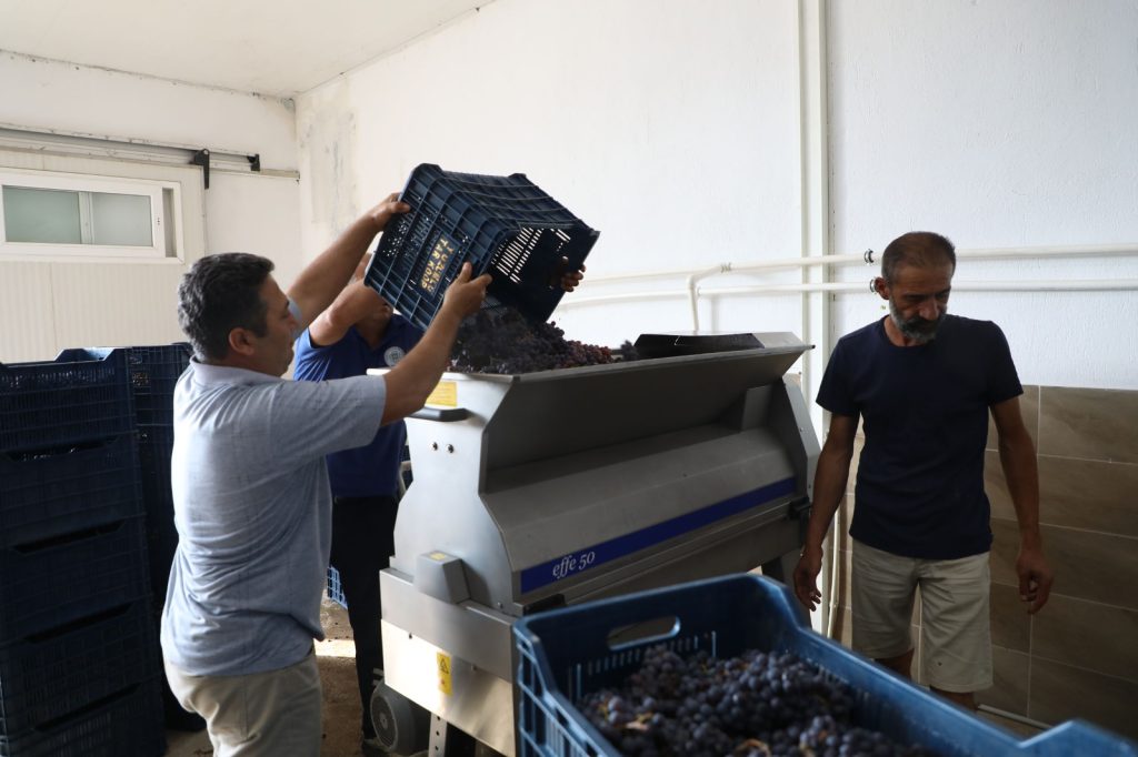 BÜYÜKŞEHİR’DEN BAĞCILIĞA MODERN DOKUNUŞ