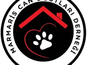CAN DOSTLARI DERNEĞİ HAYVAN SEVERLERİ BİR ÇATI ALTINDA TOPLUYOR