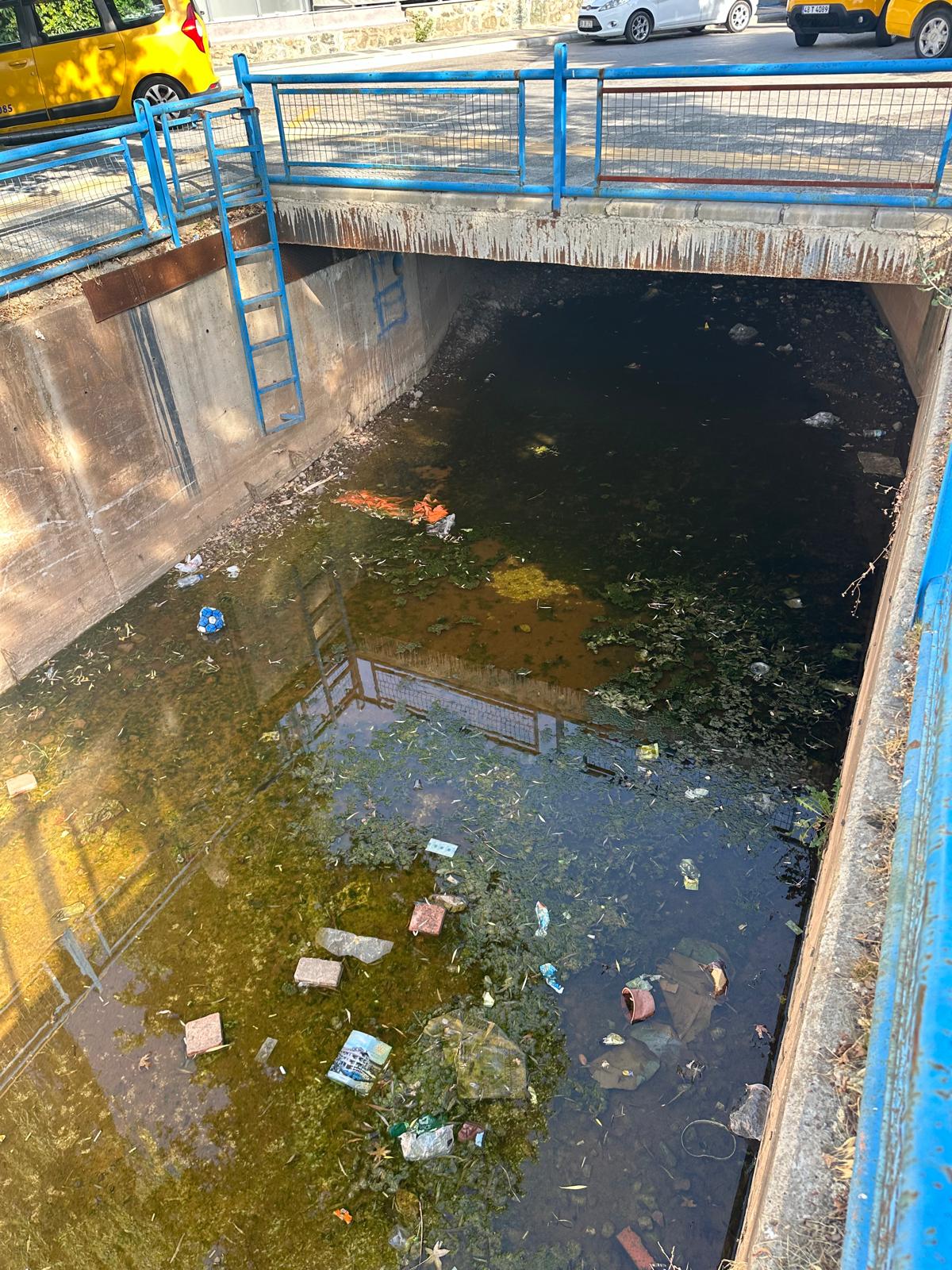 DERE  KÖTÜ  KOKU SAÇIYOR