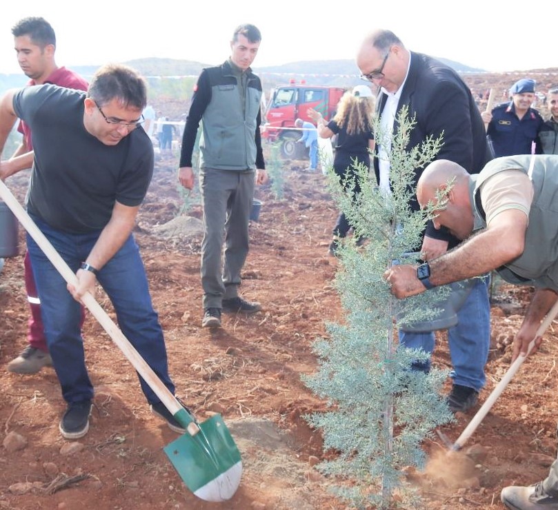 6 BİN 300 FİDANLA CUMHURİYET ORMANI KURULDU