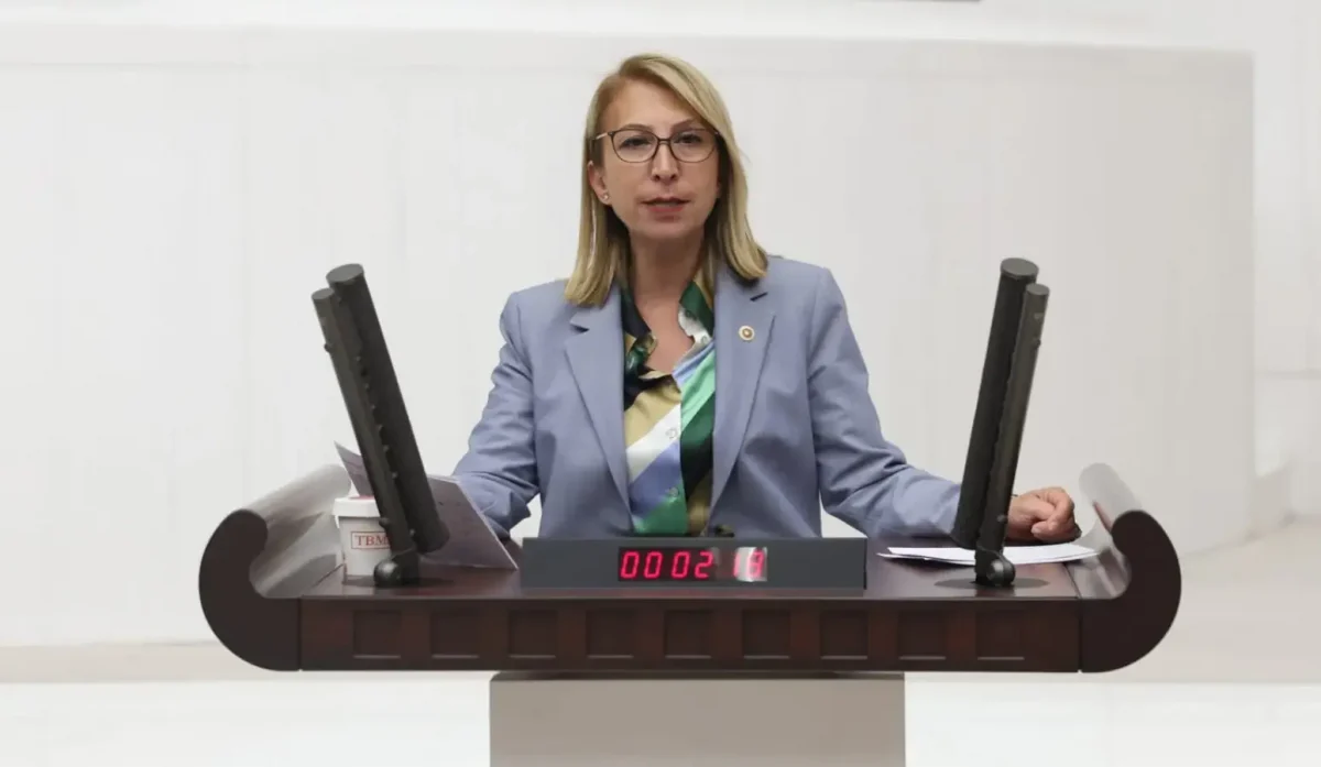 Derici’den araştırma önergesi