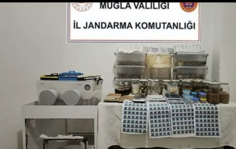 Dünyanın en tehlikeli uyuşturucusu ele geçirildi