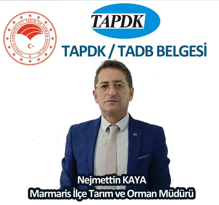 ‘TAPDK / TADB SÜRE UZATIMINI KAÇIRMAYIN’