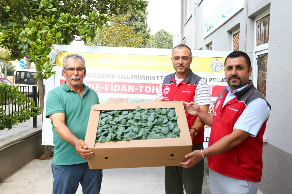 MUĞLA’DA KIŞLIK SEBZE ÜRETİMİNE GÜÇLÜ DESTEK