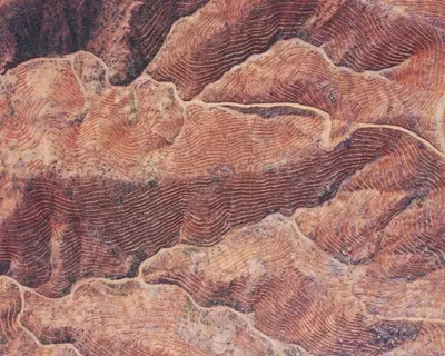 Yangınında zarar gören 900 hektar alanın yeşillendirilme çalışması gerçekleştirildi.