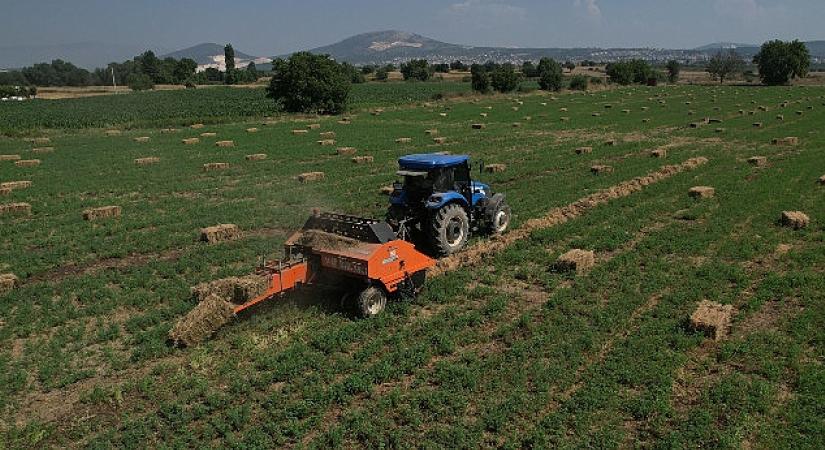Büyükşehir, Kaba Yem Üretiminde Yılın İlk Hasadını Yaptı, Üreticilere Dağıttı