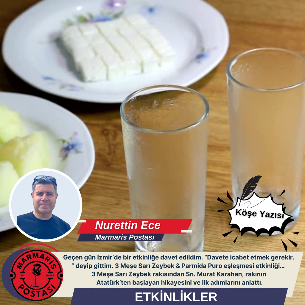 ETKİNLİKLER